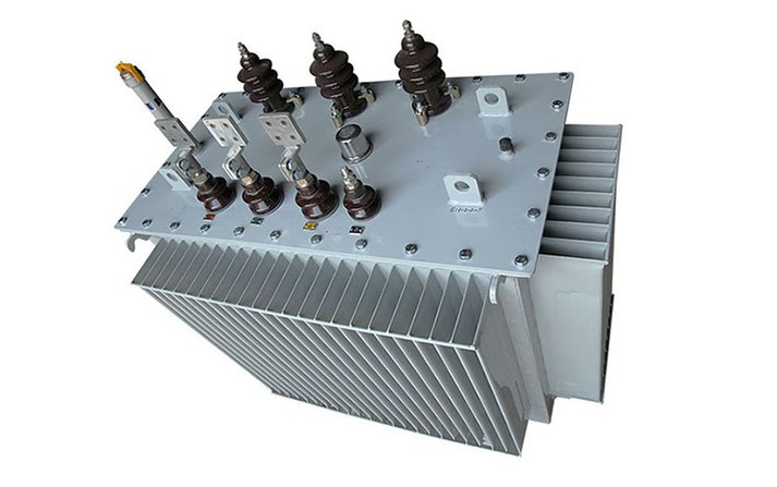 S11-M-125KVA油浸式电力变压器(图5)