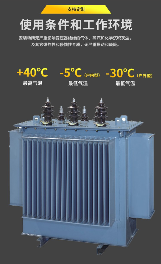 S11-M-200kva三相油浸式电力变压器(图2)