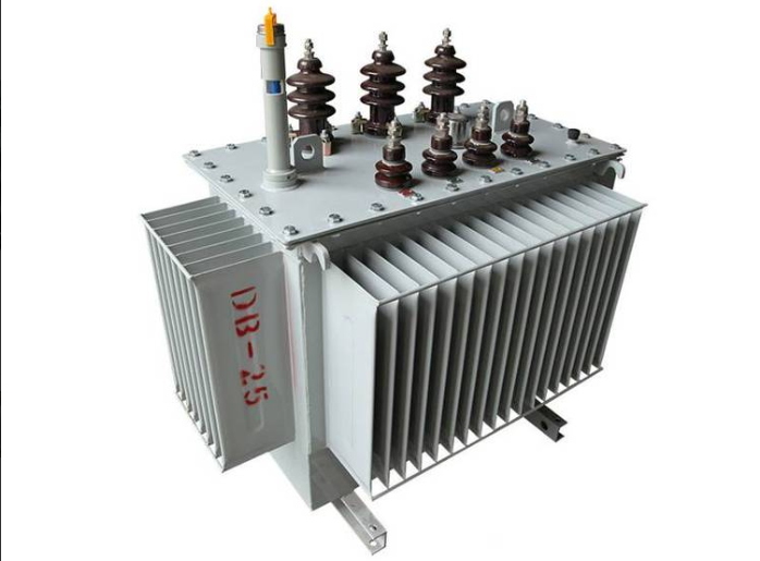 S11-M-160KVA油浸式电力变压器(图5)